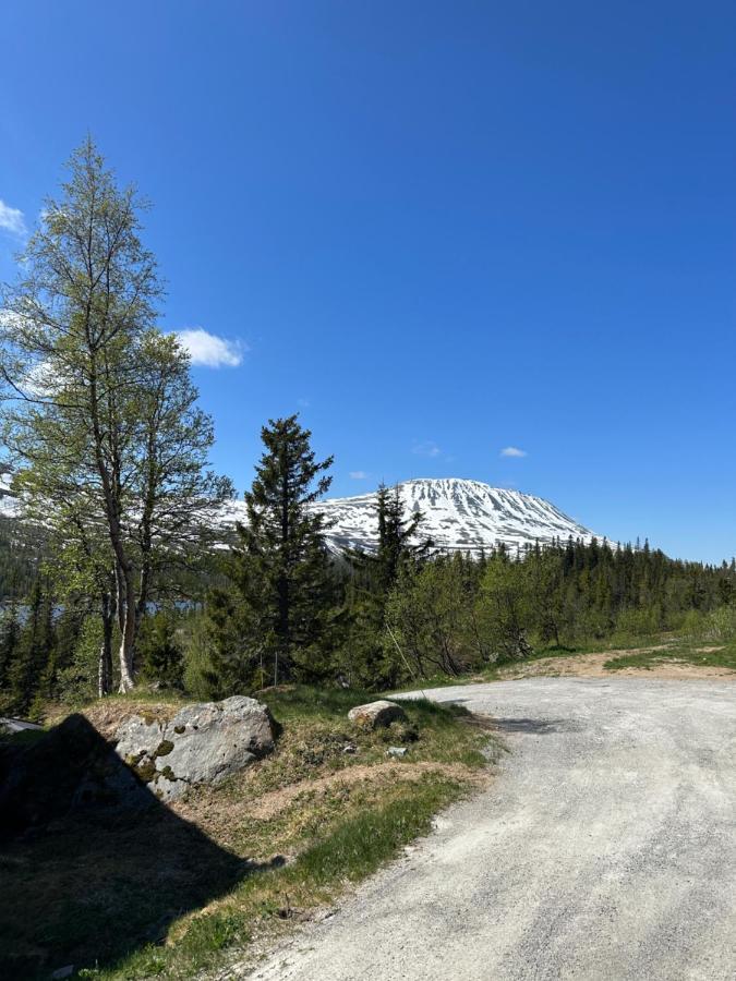 Ski Inn/Out - 4-Room Apartment W/3 Bedroom Gaustablikk Exterior foto